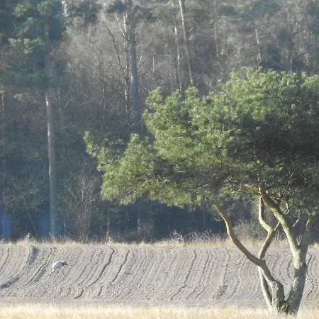 Refshalegaard Engesvang